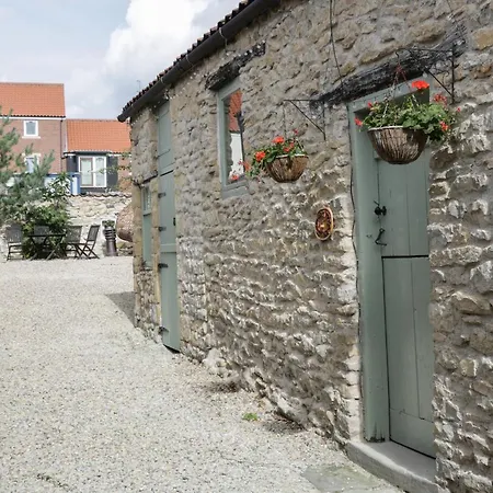 Cherry Tree بيكرينغ